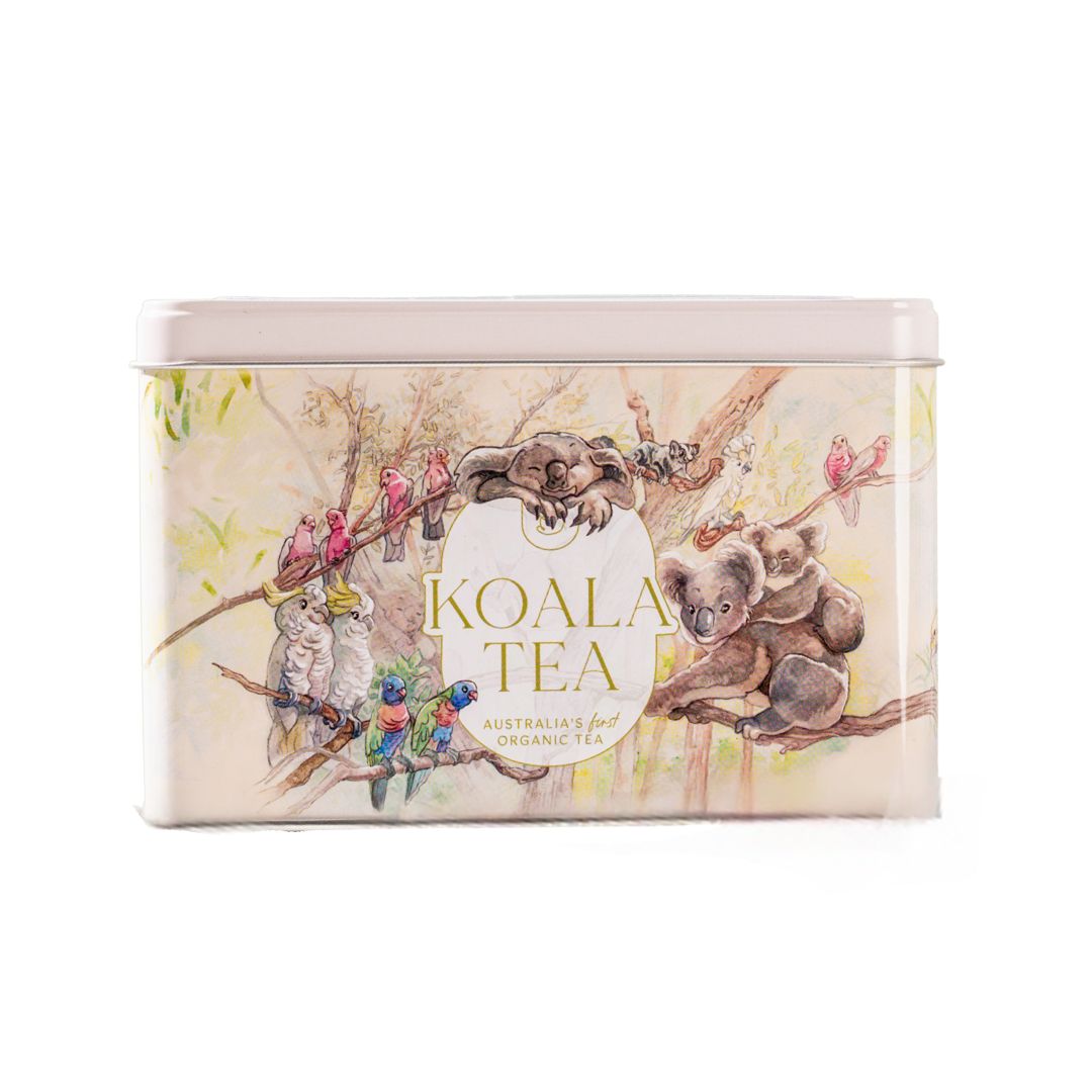 KOALA GIFT TIN FOREST