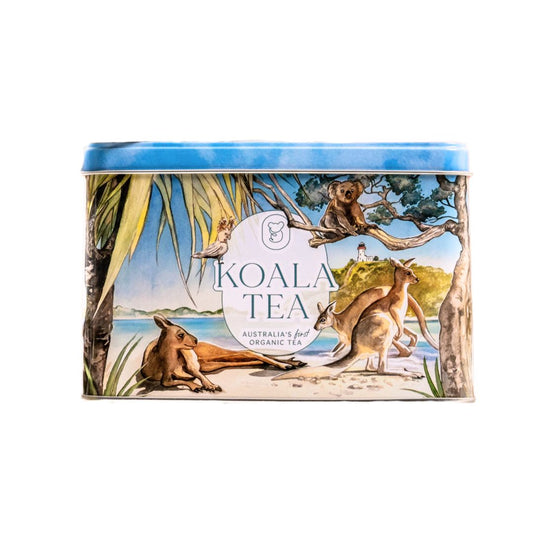KOALA GIFT TIN BEACH