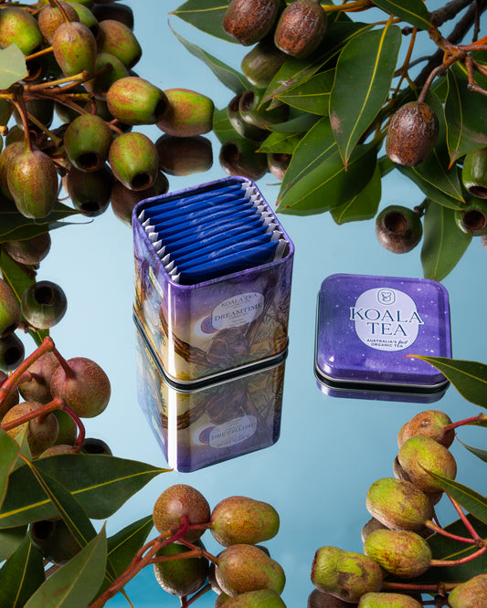 Dreamtime Sleep Tea – Collector's Mini Tin (10 Tea Bags)
