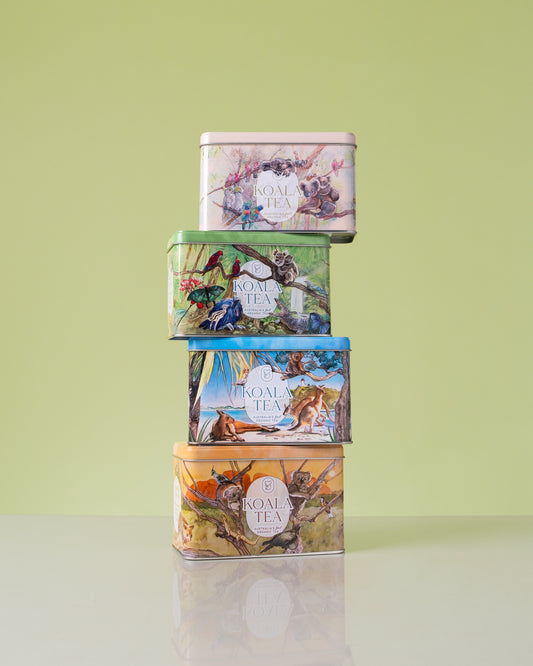 REFILL AND REUSE STARTER KIT