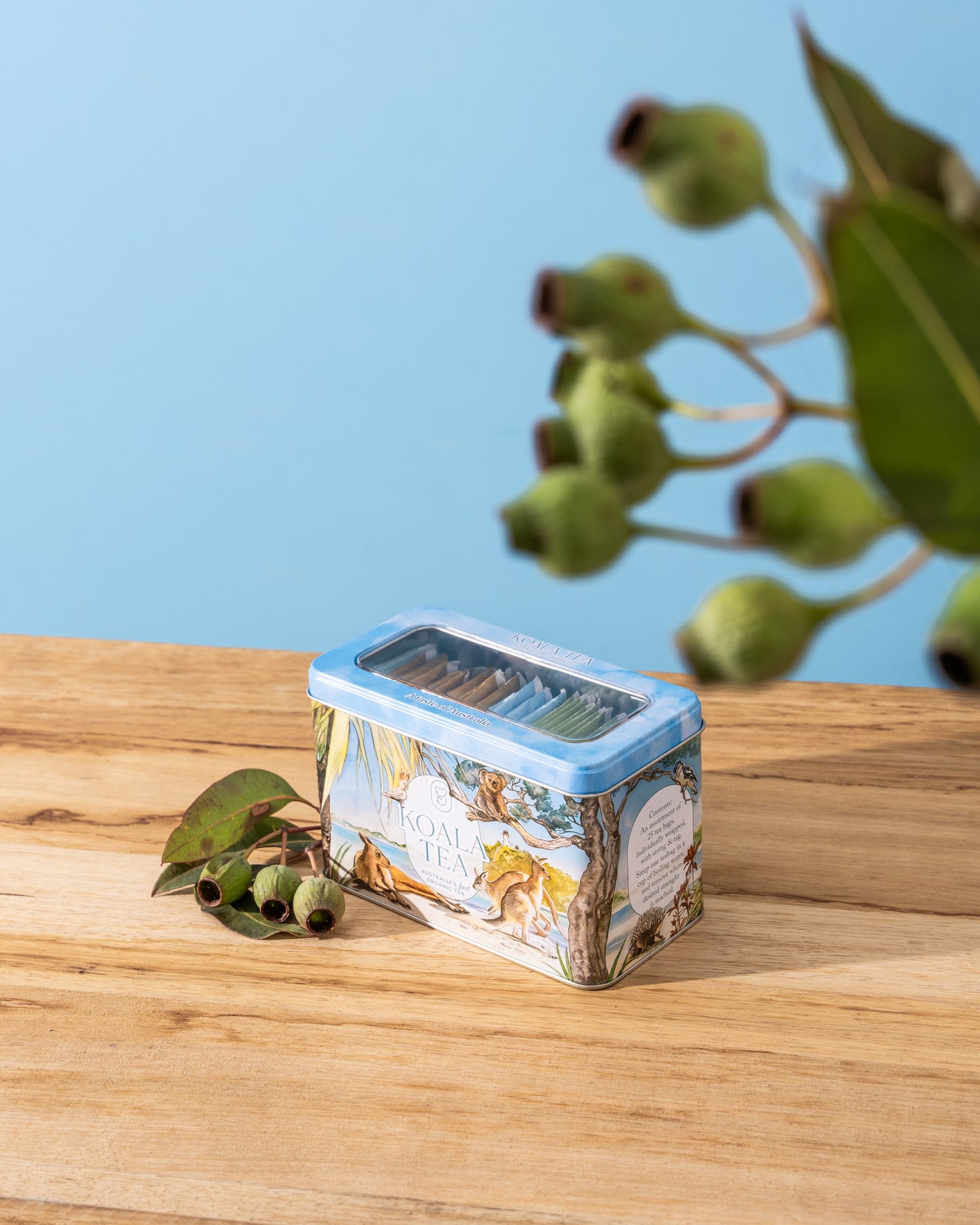 KOALA GIFT TIN BEACH