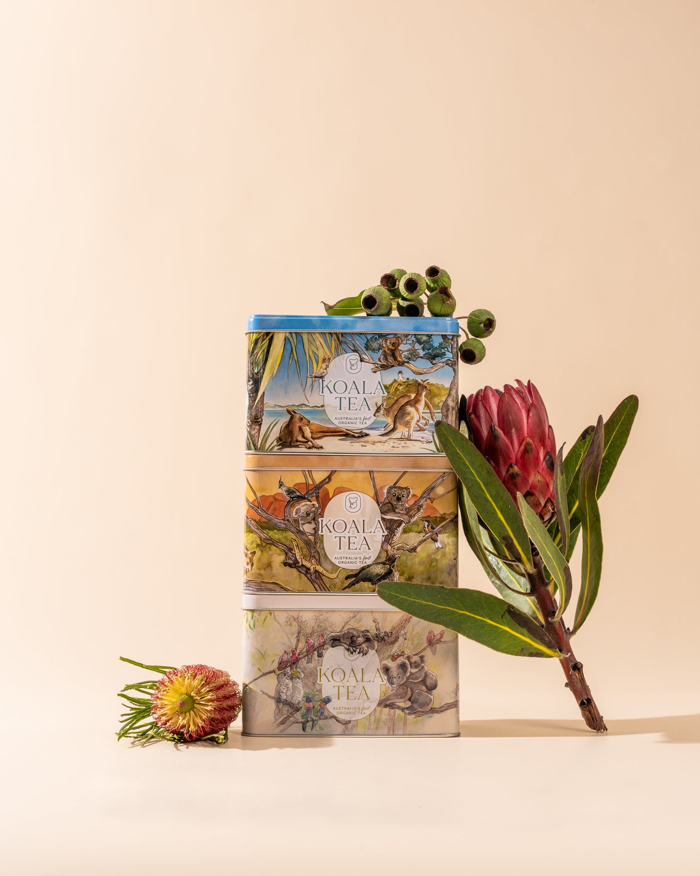 KOALA GIFT TIN BEACH