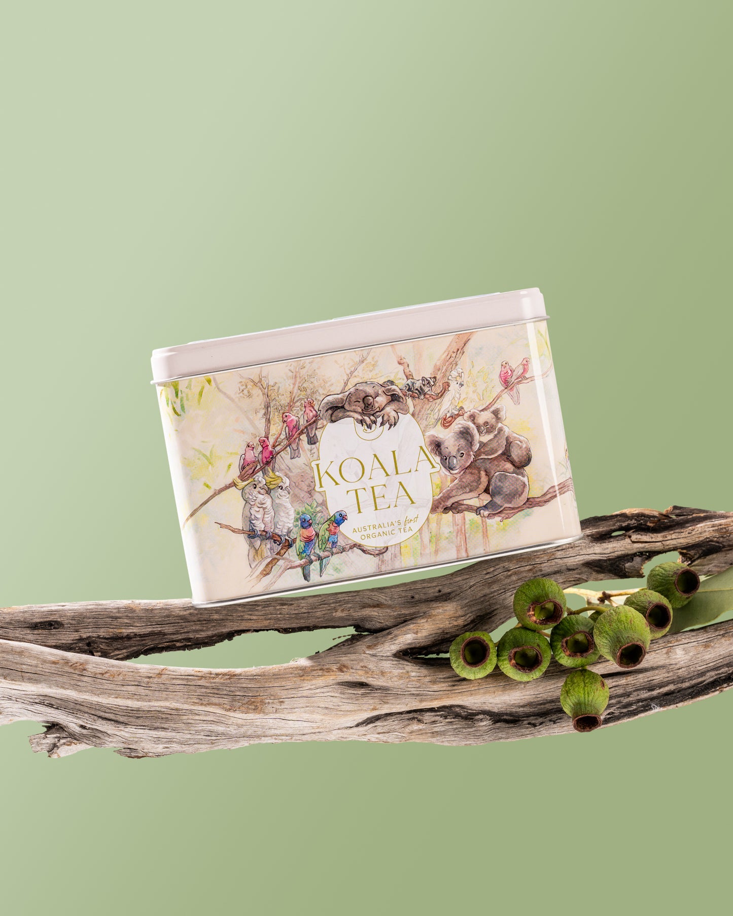 KOALA GIFT TIN FOREST