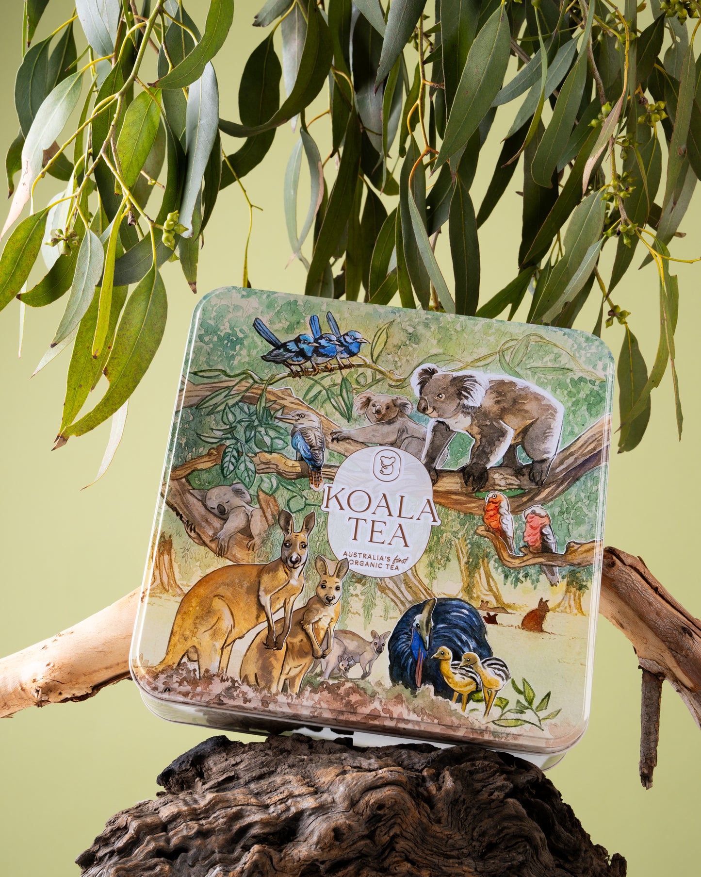EMPTY KOALA GIFT TIN