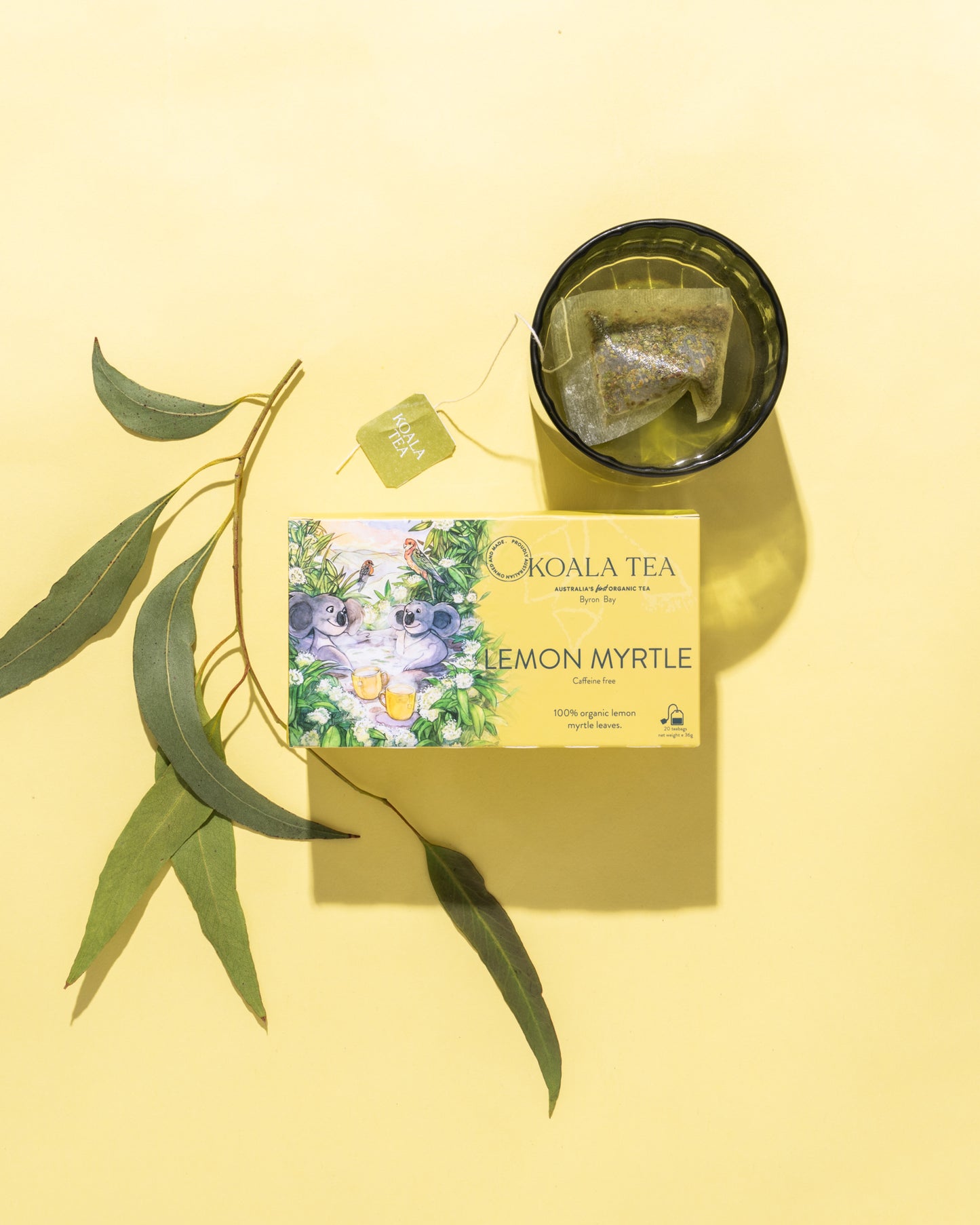 LEMON MYRTLE KOALA COLLECTION