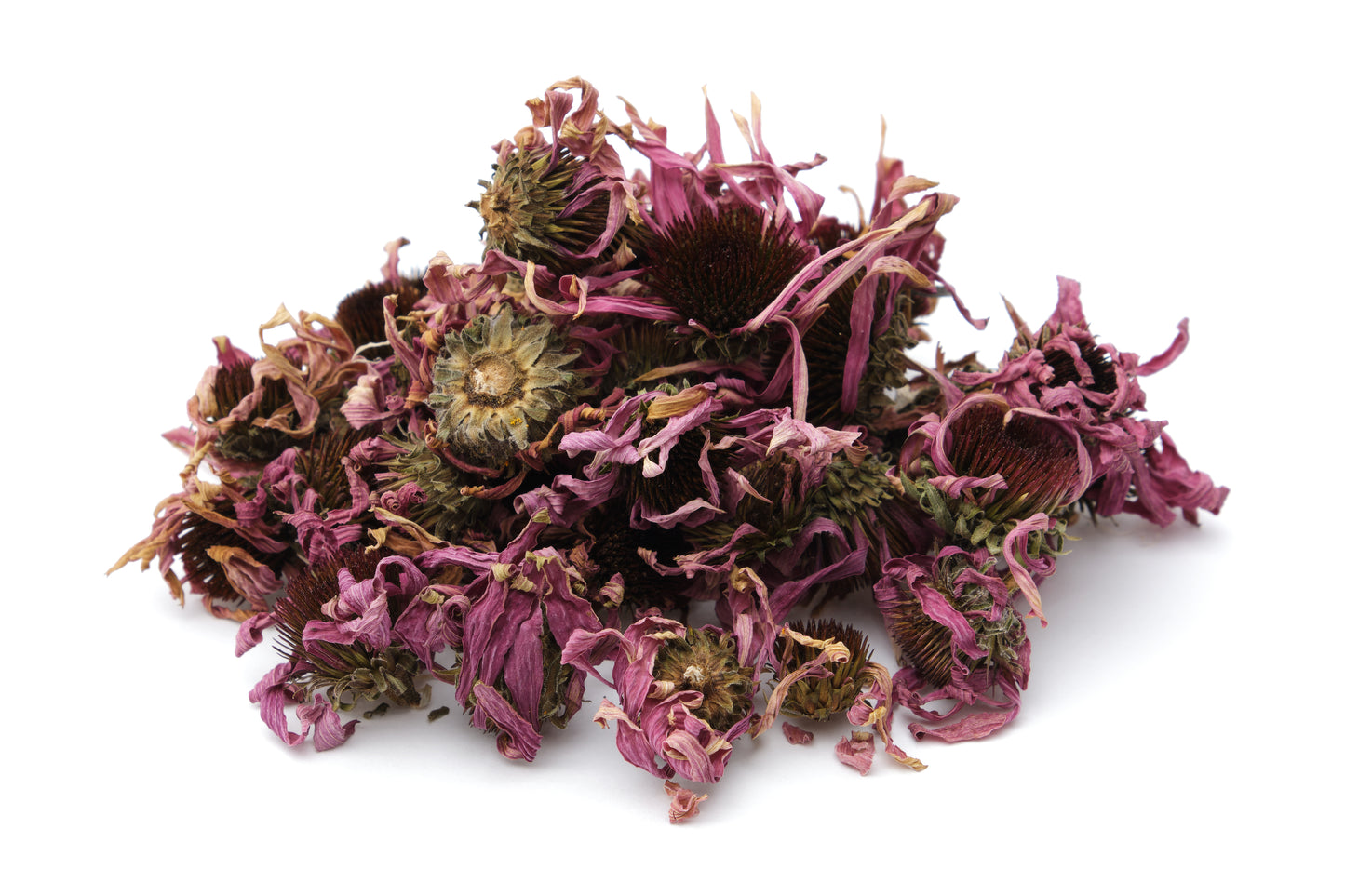ECHINACEA