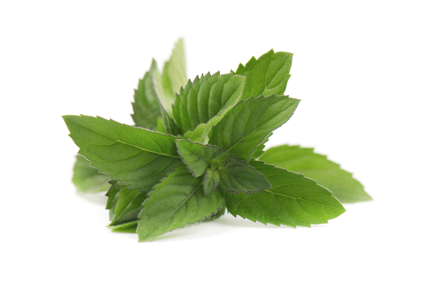 PEPPERMINT