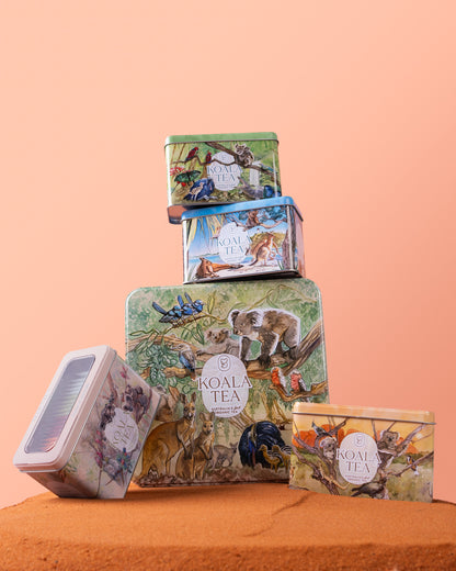 KOALA GIFT TIN RAINFOREST
