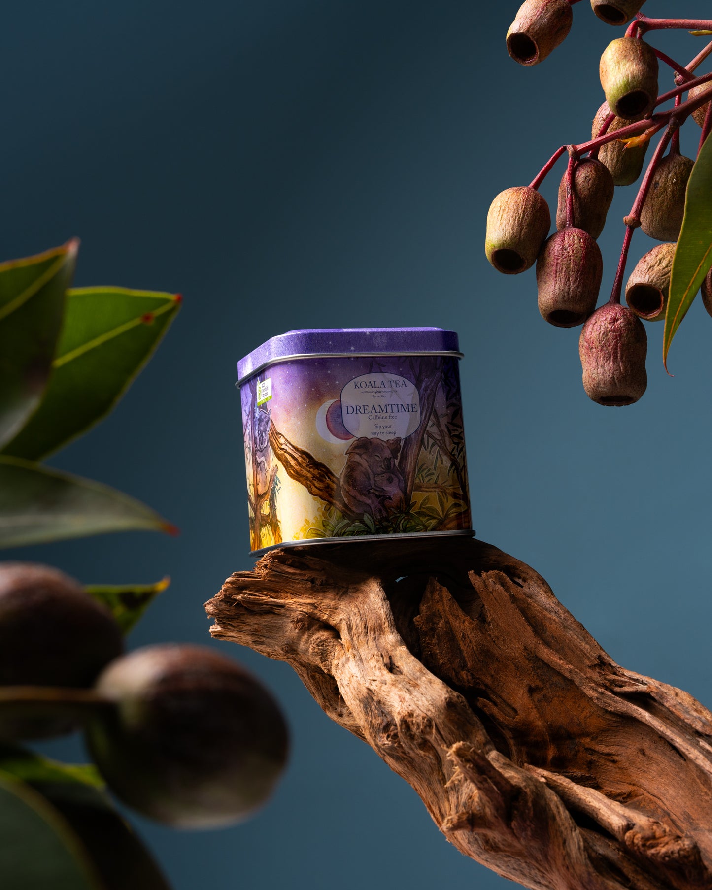 Dreamtime Sleep Tea – Collector's Mini Tin (10 Tea Bags)