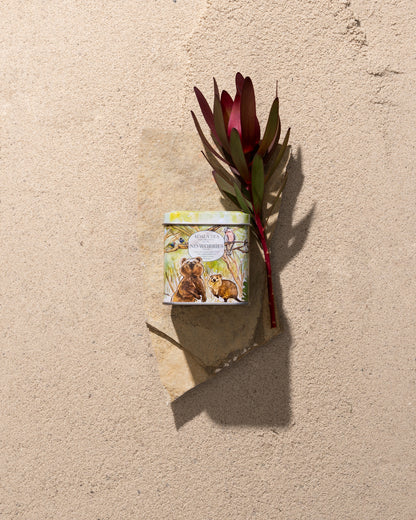 No Worries Relaxation Tea – Collector's Mini Tin (10 Tea Bags)