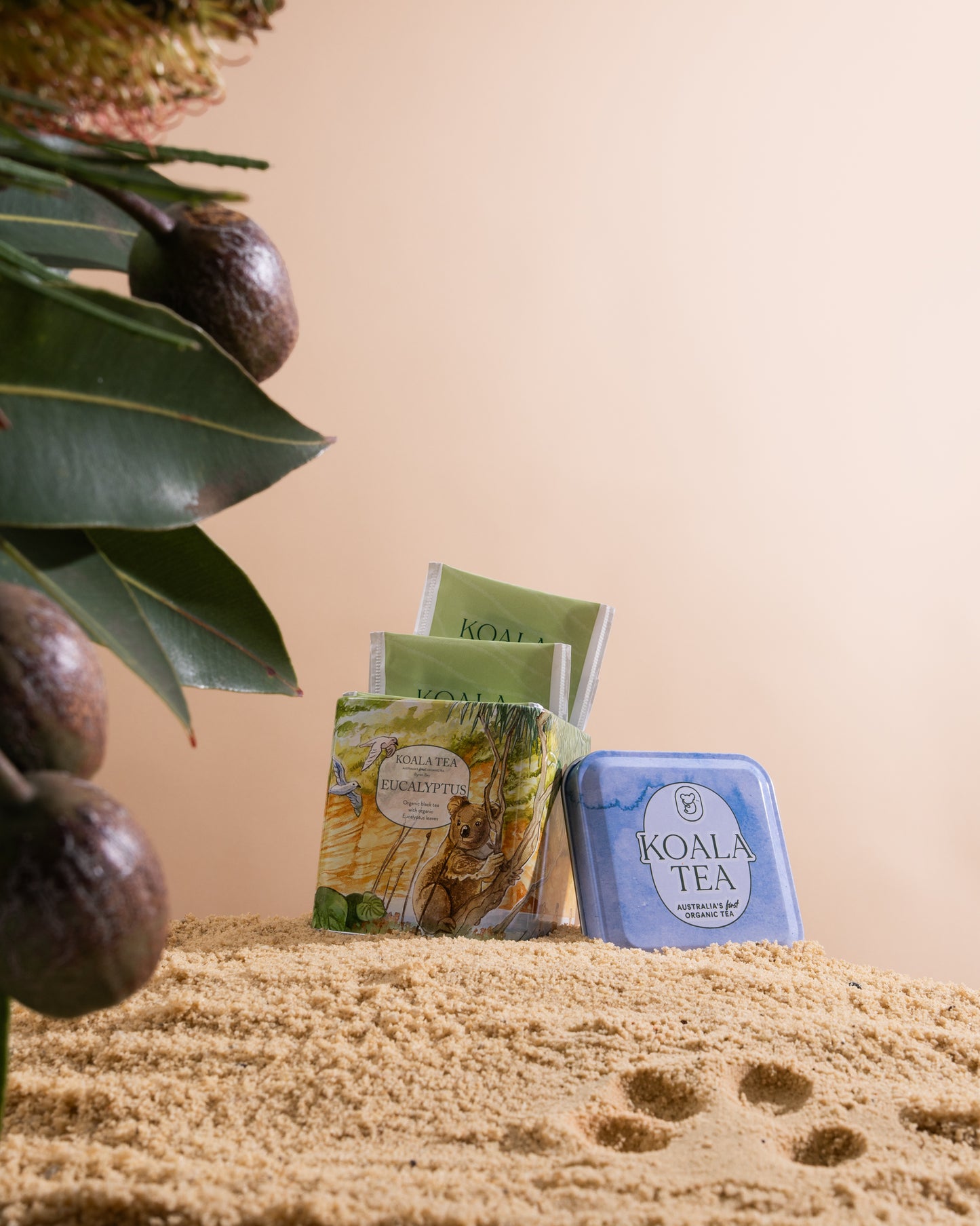 Australian Eucalyptus Tea – Collector's Mini Tin (10 Tea Bags)