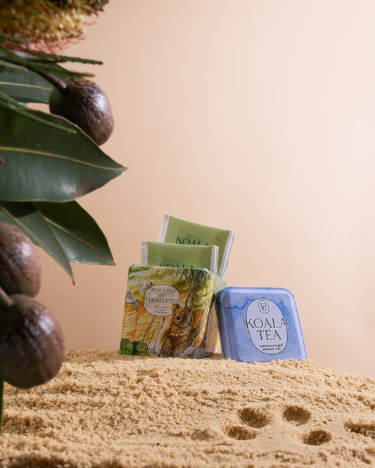 Australian Eucalyptus Tea – Collector's Mini Tin (10 Tea Bags)