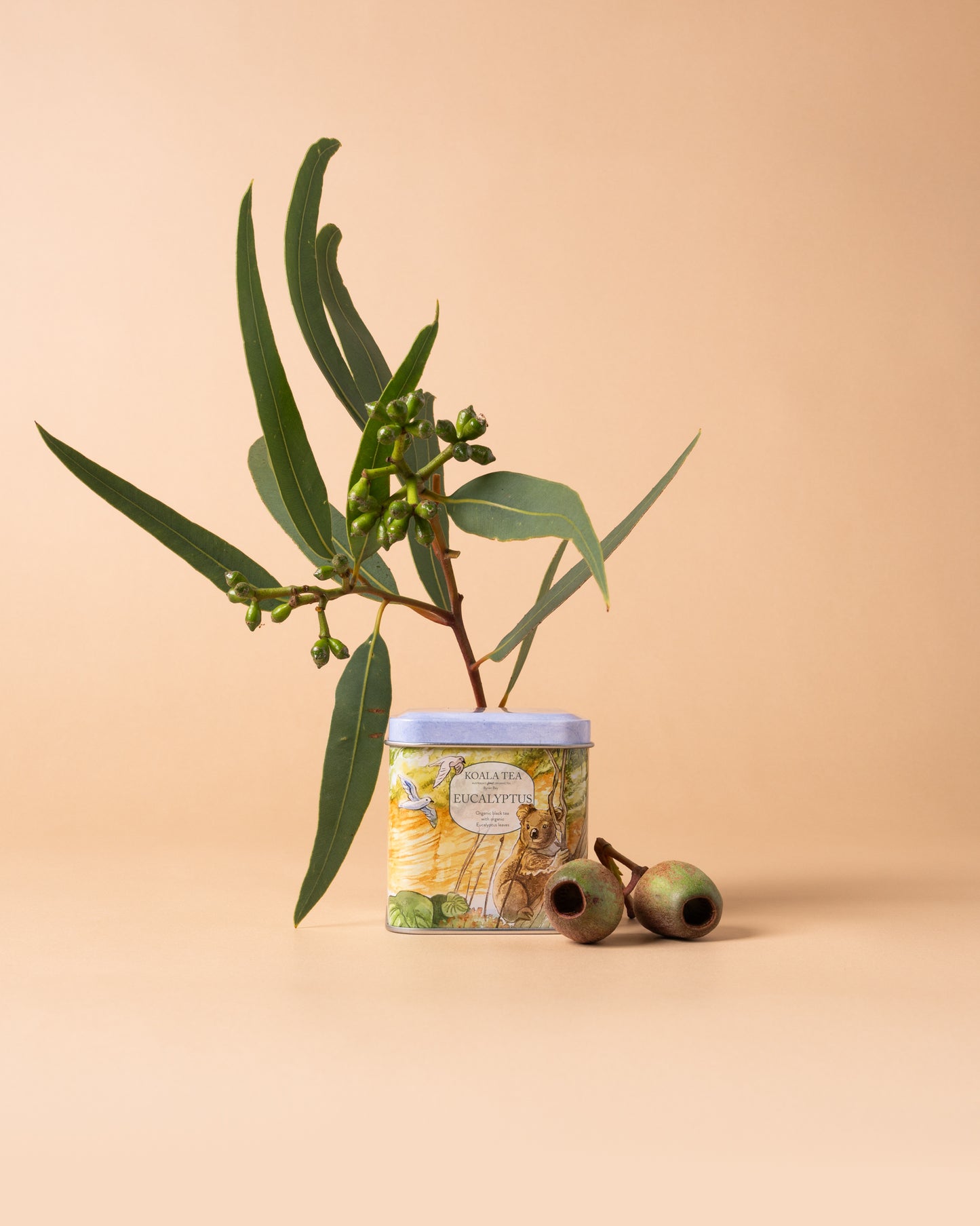 Australian Eucalyptus Tea – Collector's Mini Tin (10 Tea Bags)
