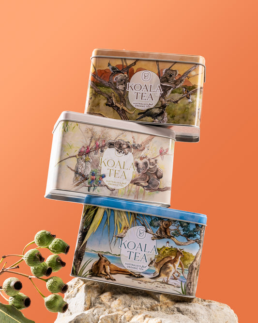 KOALA GIFT TIN TRIO