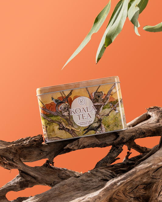 KOALA GIFT TIN DESERT