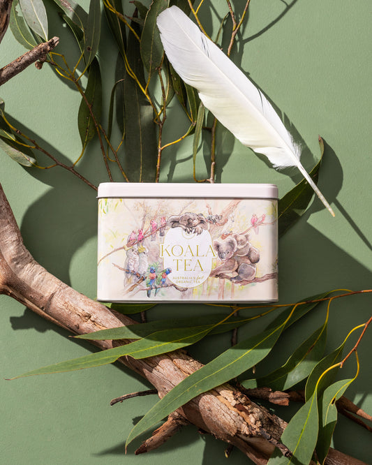 KOALA GIFT TIN