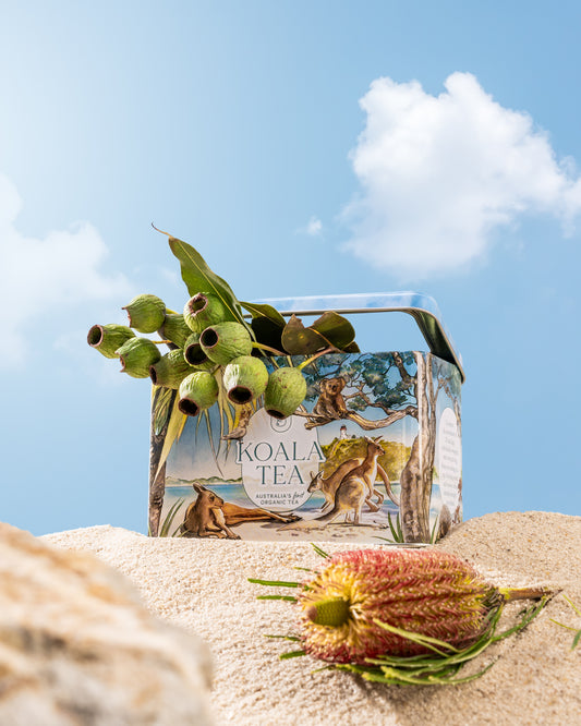 KOALA GIFT TIN BEACH
