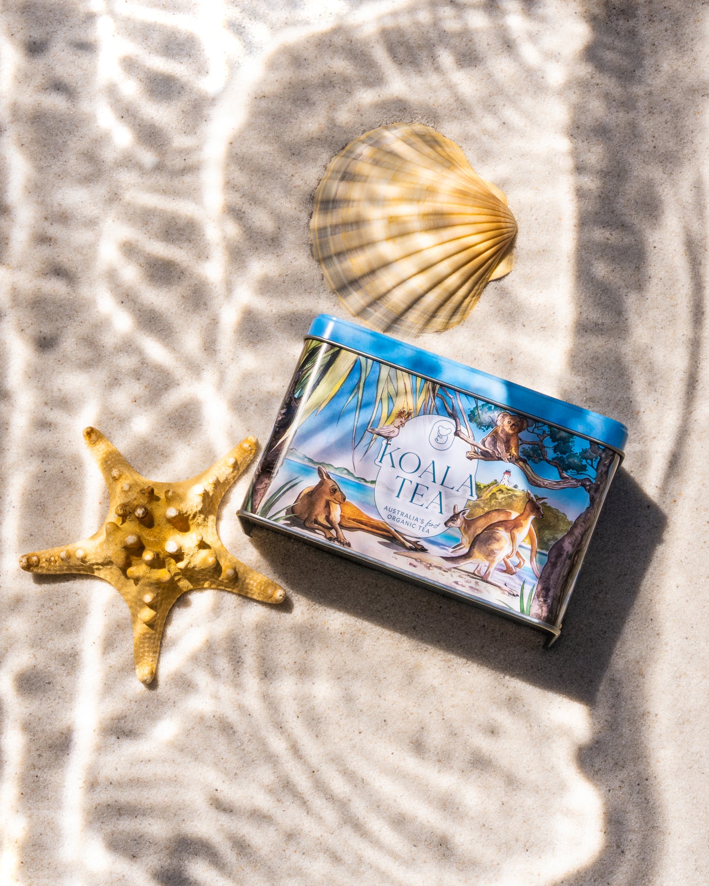 KOALA GIFT TIN QUARTET