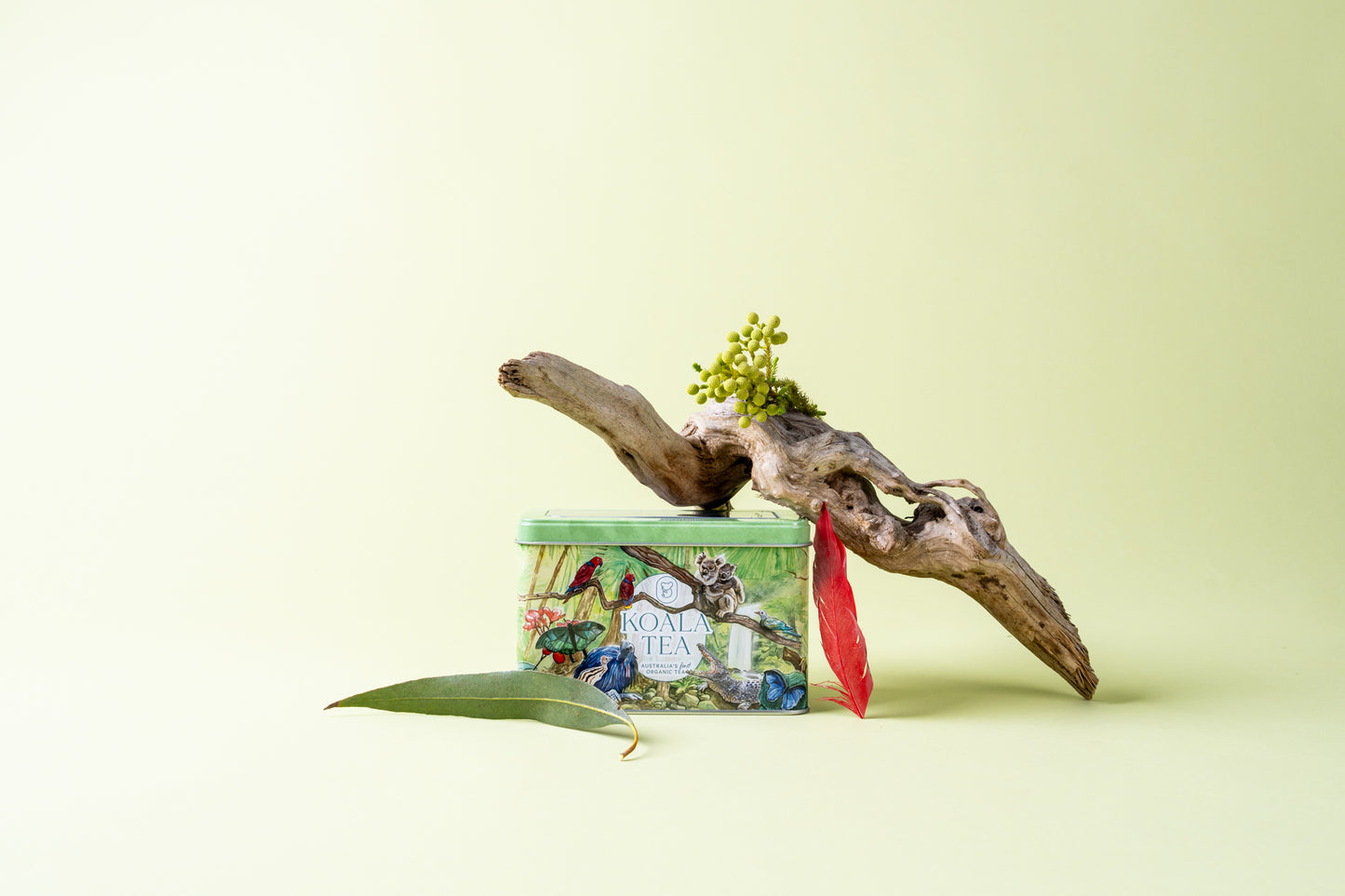 KOALA GIFT TIN RAINFOREST