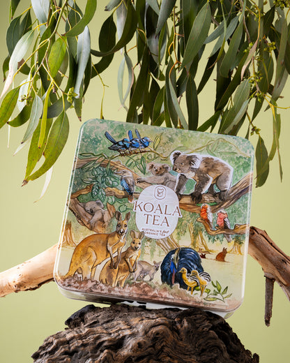 DISCOVERY PREMIUM KOALA GIFT TIN
