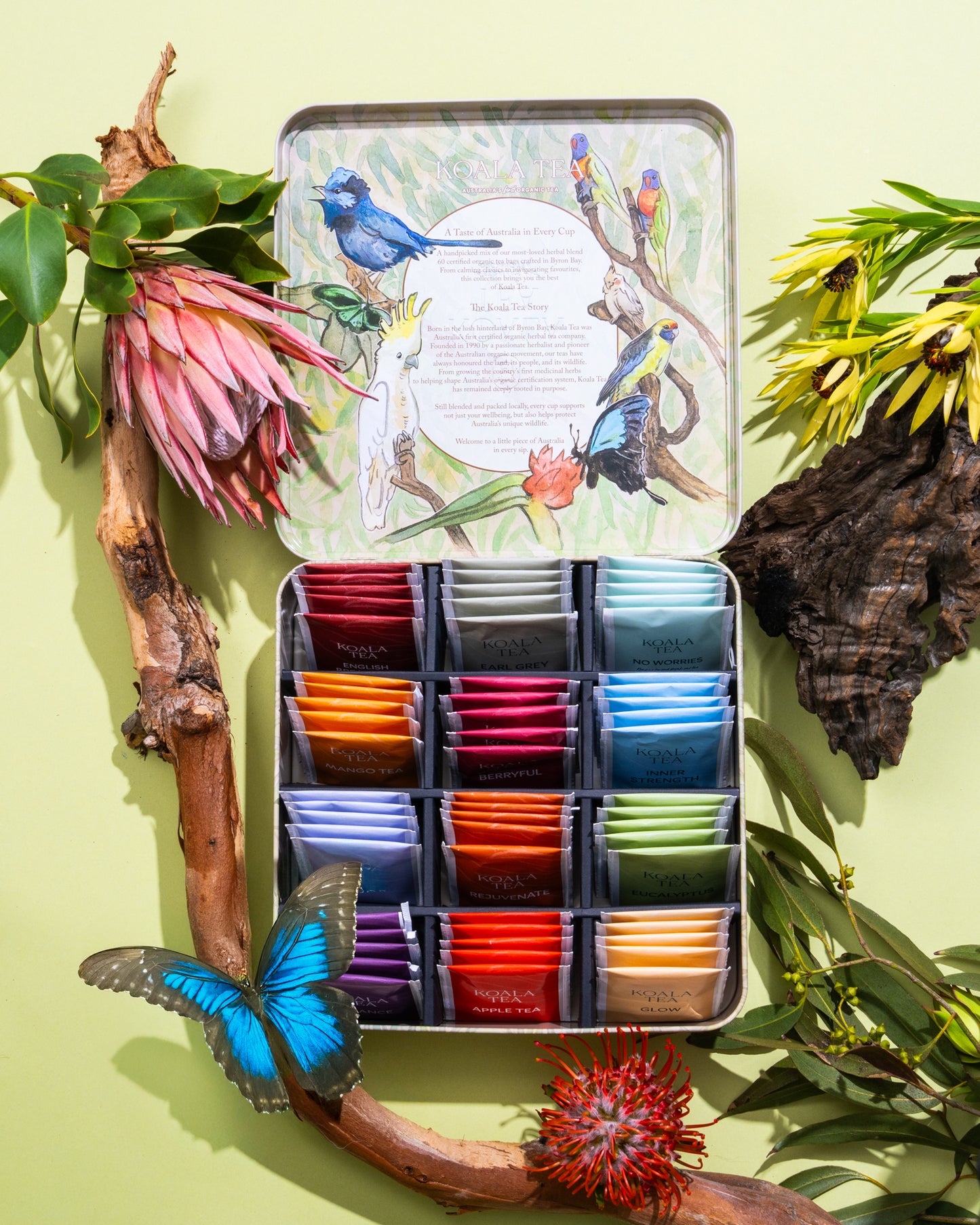 DISCOVERY PREMIUM KOALA GIFT TIN