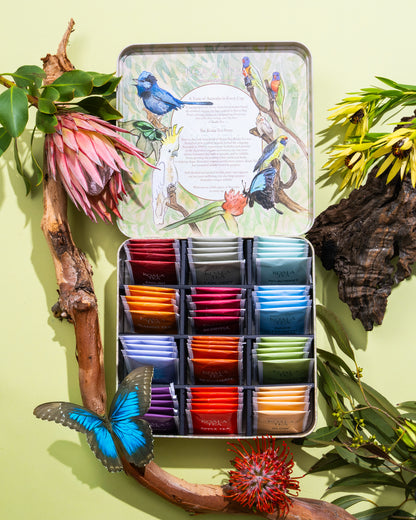 DISCOVERY PREMIUM KOALA GIFT TIN