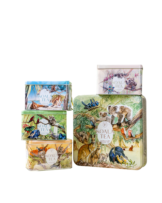 EMPTY KOALA GIFT TIN