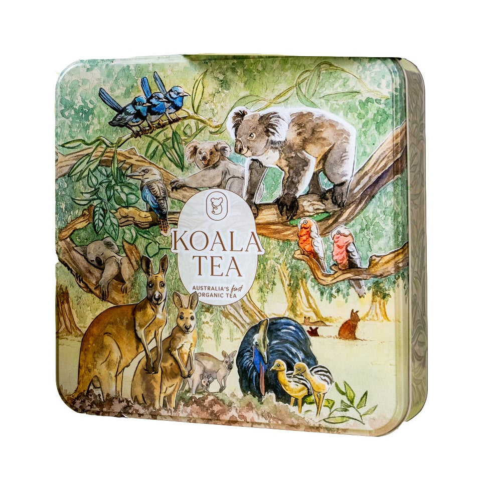 DISCOVERY PREMIUM KOALA GIFT TIN